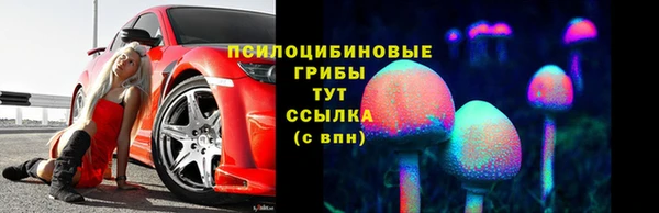 PSILOCYBIN Алексеевка