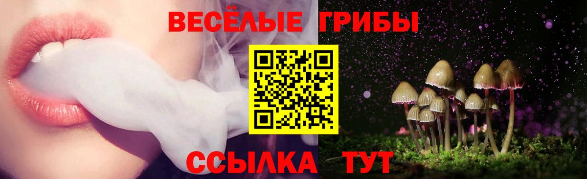 Псилоцибиновые грибы Cubensis  Вход с VPN  Лесосибирск 