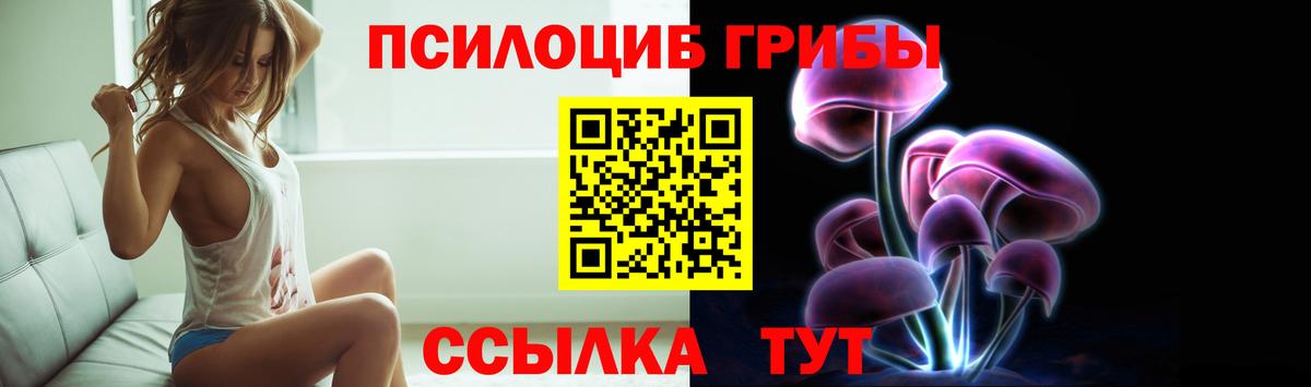 Псилоцибиновые грибы GOLDEN TEACHER Лесосибирск